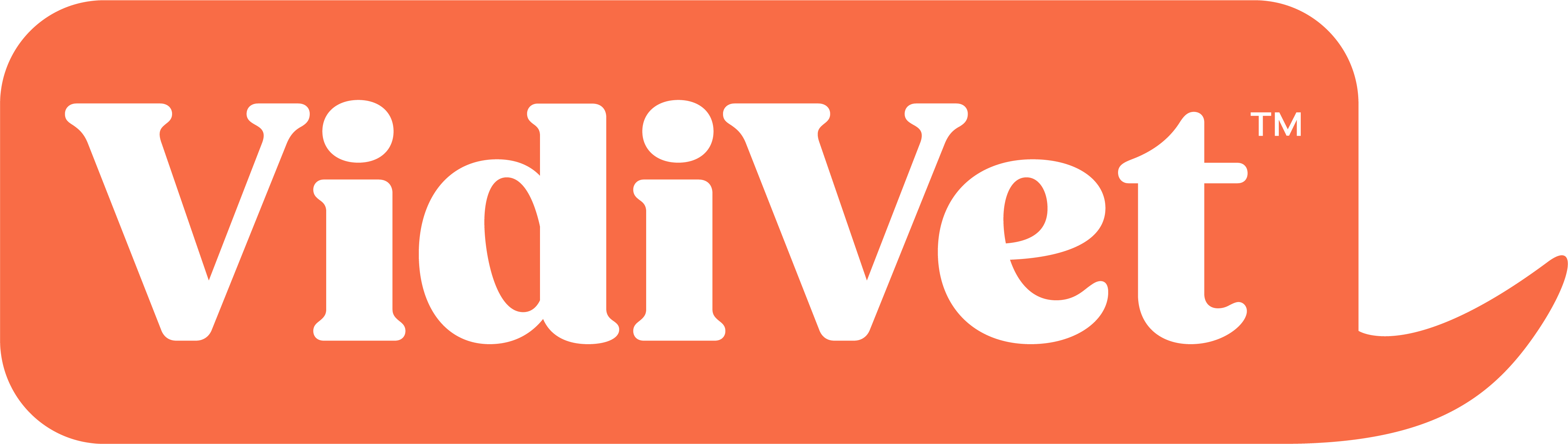 Vidivet logo with tagline just trust Vidivet